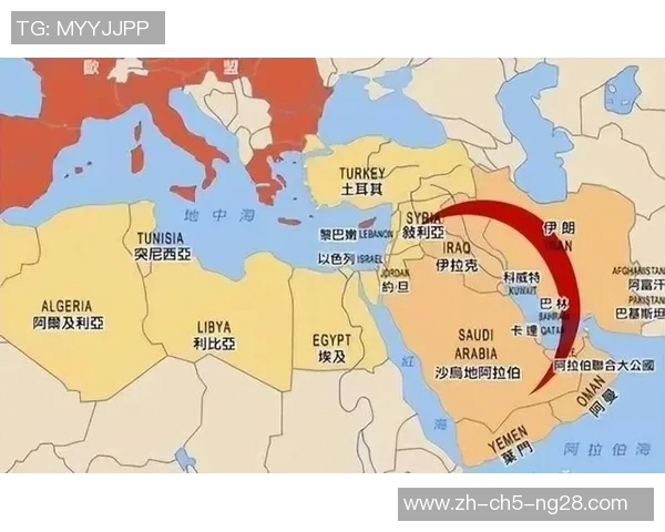 伊朗与叙利亚激战正酣双方进球精彩瞬间回顾与分析